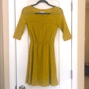 Lace Skater Dress